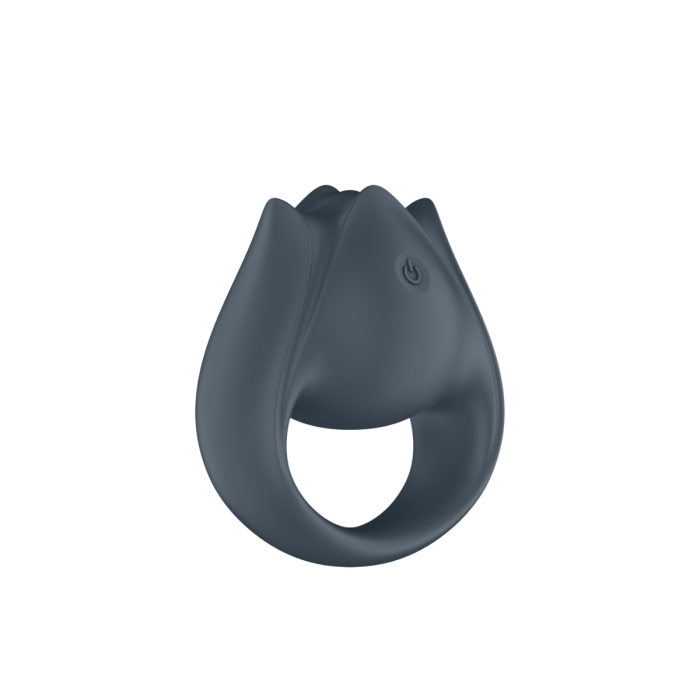 Anillo vibrador Satisfyer Perfect Pair 2