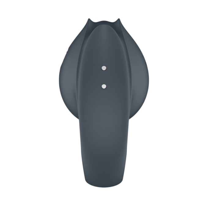 Anillo vibrador Satisfyer Perfect Pair 2