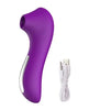 Succionador Clitorial - Recargable USB