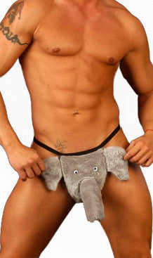 Tanga elefante - Terak